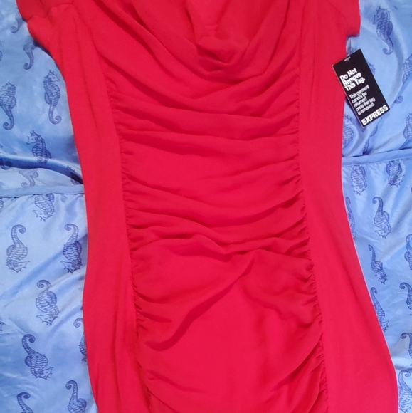 Express Sexy Red Dress - Picture 3 of 3